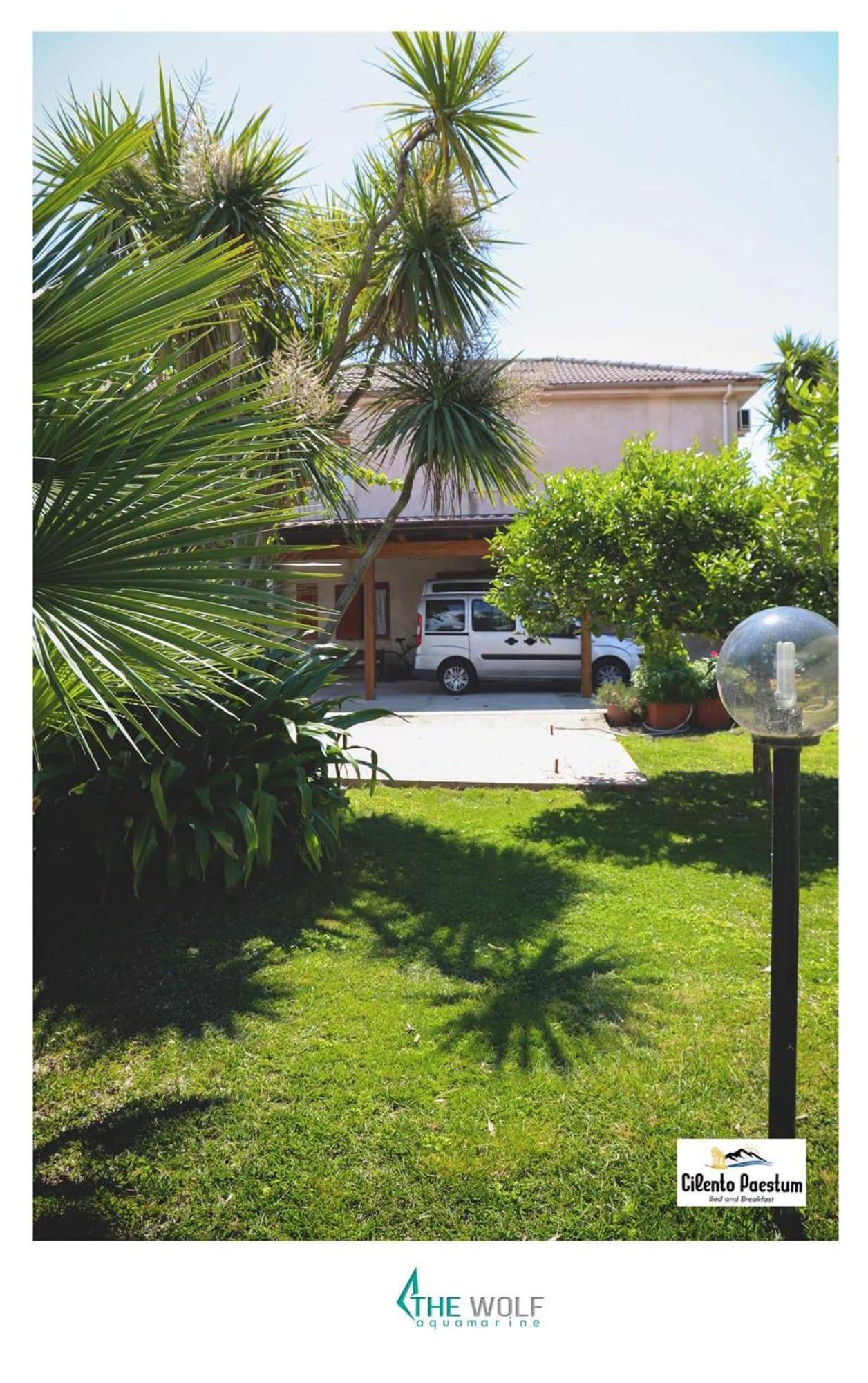 B&B Cilento パエストゥム エクステリア 写真